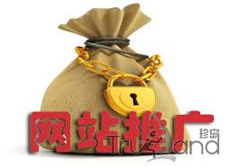 网站推广效果
