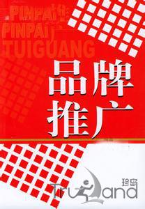 谷歌品牌推广