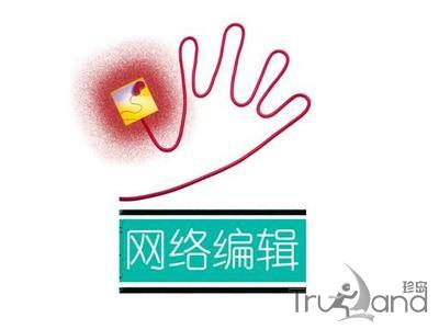 网络编辑