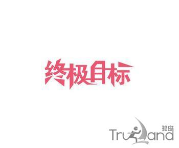 ***目标